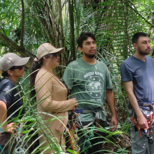 WhatsApp Image 2026-01-26 at 11.49.38 AM