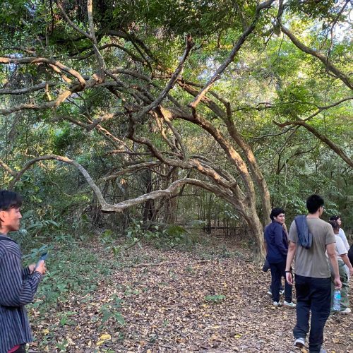 WhatsApp Image 2026-01-26 at 11.49.40 AM (2)